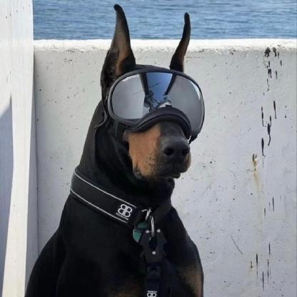 poburkan's avatar