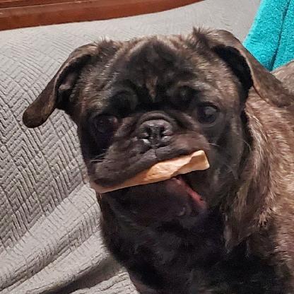 galensilasponder's avatar