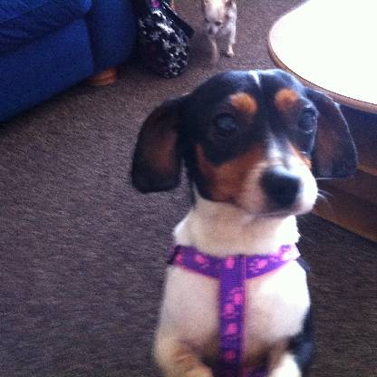 MX09210336L's avatar