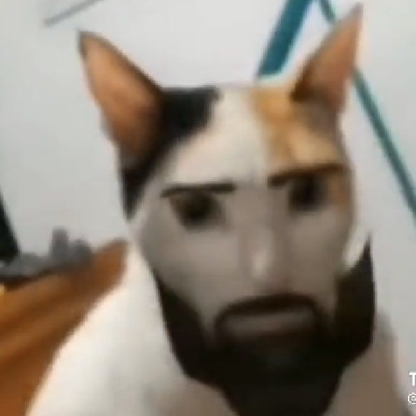 GauchoLaucho's avatar