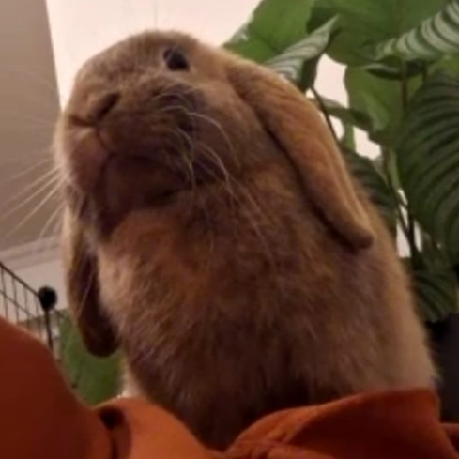 Bizzyyyyyyy's avatar