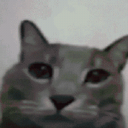 dicerand's avatar