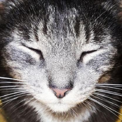 3fa95aa82e8b0e68's avatar