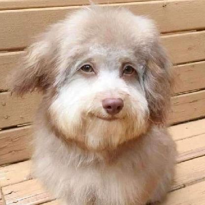 rafaodacrypto's avatar