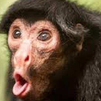 Chewsbaa's avatar