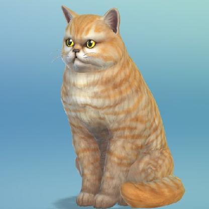 Bratsby's avatar