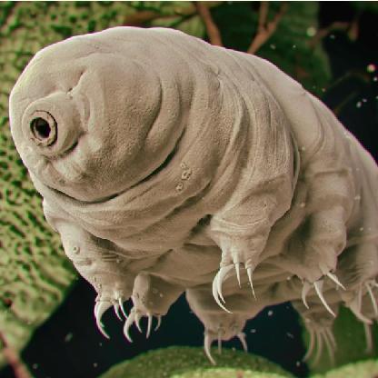 Enceladus69's avatar