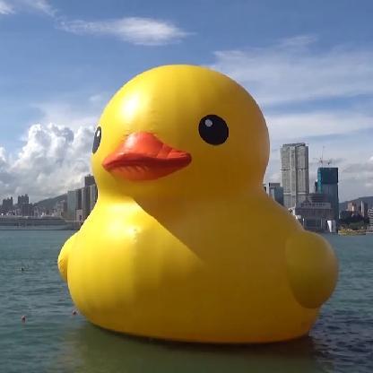 GetQuackdOn's avatar