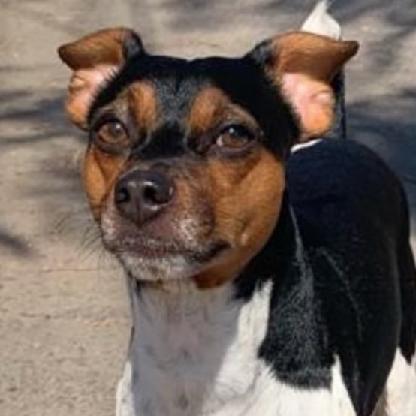 PauloEFC_BC's avatar