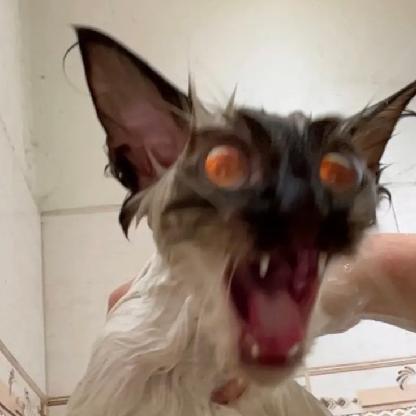 andromeda_gxq's avatar