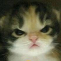 @knxrx's Avatar