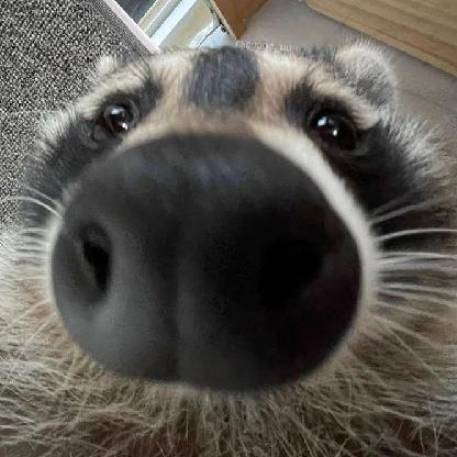 GoatFather21's avatar