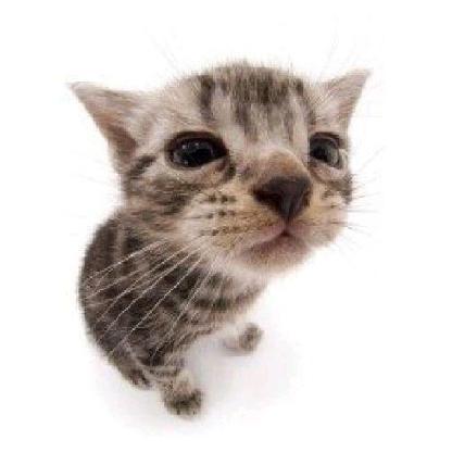 aIvispaIvis's avatar