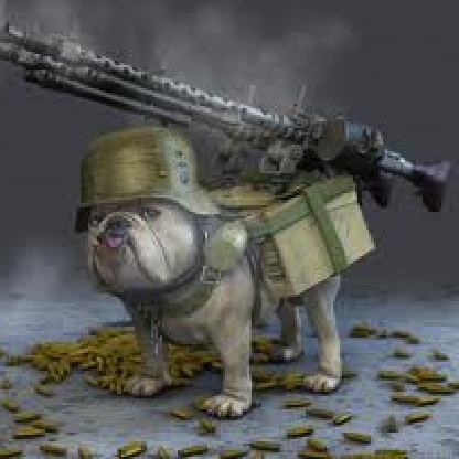 chilldog's avatar