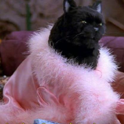 Love_Live_Sims's avatar