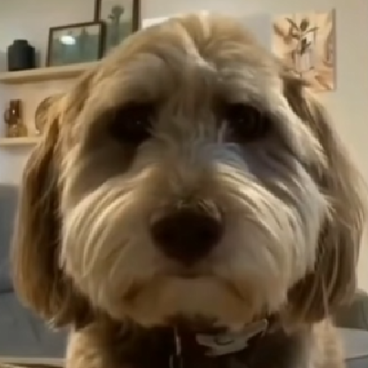 gamescrews1's avatar