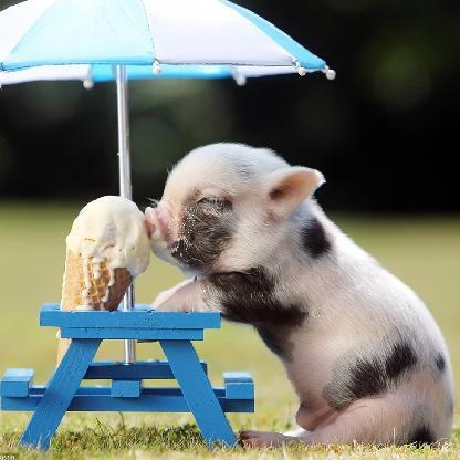 LittleEmmaLOL's avatar