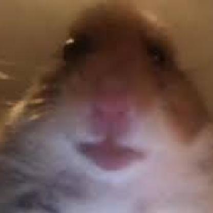 TravHamster's avatar