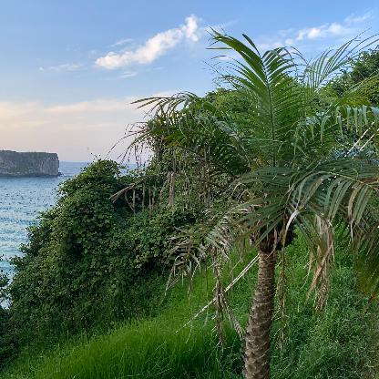 fifa_huguito's avatar