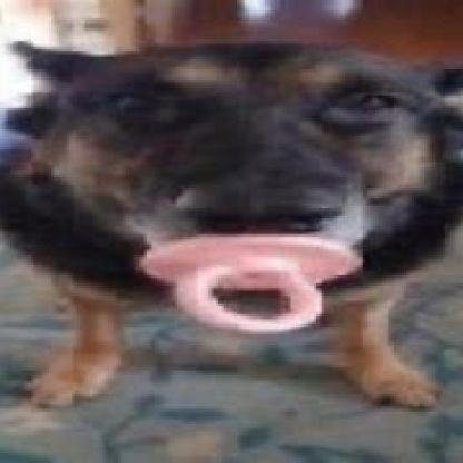 CamAndChez's avatar