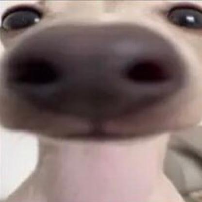 SentaRebolano's avatar