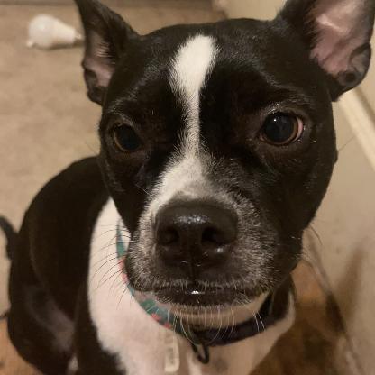 jessicajacobson2's avatar