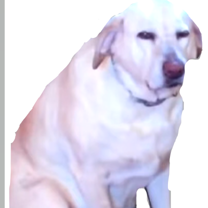 9bz5's avatar
