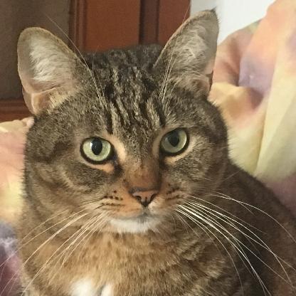 aqnqlp2u99e8's avatar