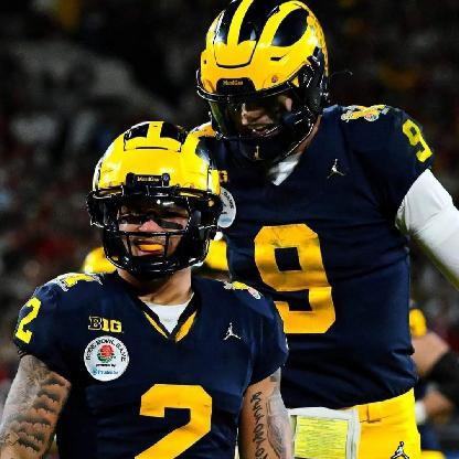 MiGoBlue94's avatar