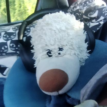 camomomomille's avatar