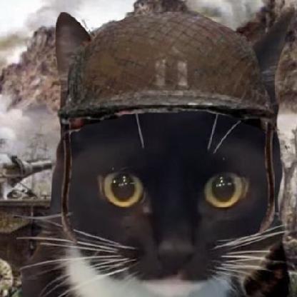SnoopCat2's avatar