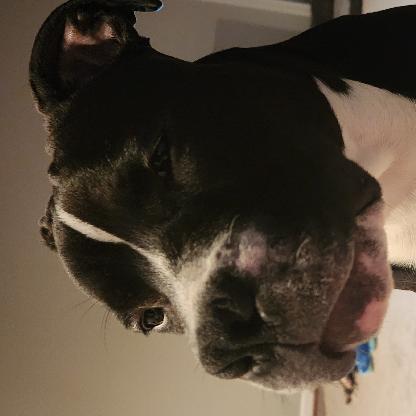 Tigerstryke023's avatar