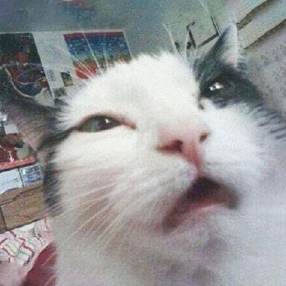 D0Mx2's avatar