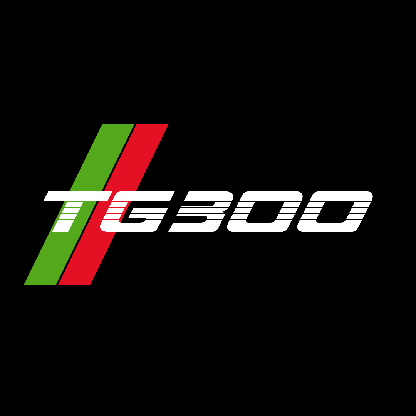 TG300's avatar