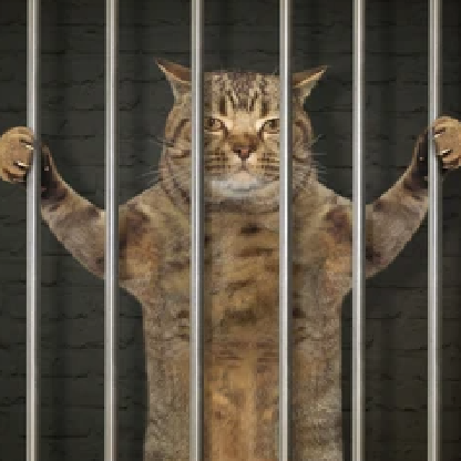 NapNapNappe's avatar