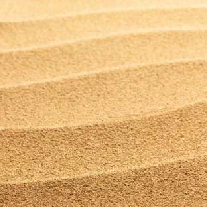 Dutch_Humus's avatar