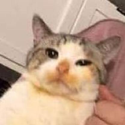 curupiradebota's avatar