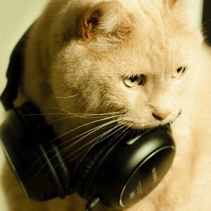 LoopHxrd's avatar