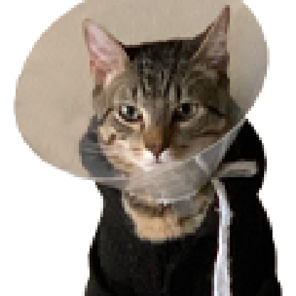 Kristeeaunuh's avatar