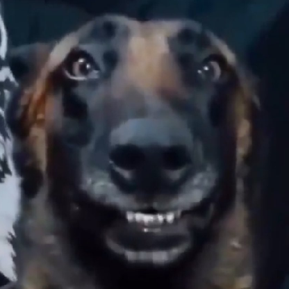 MaxaroonPlays's avatar