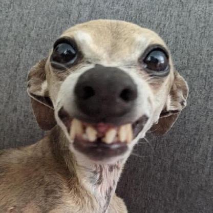 SparkhaoS's avatar