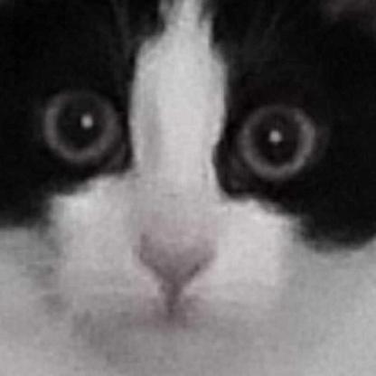 _oska_owsik's avatar
