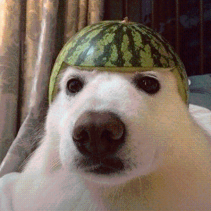 reptile_271's avatar