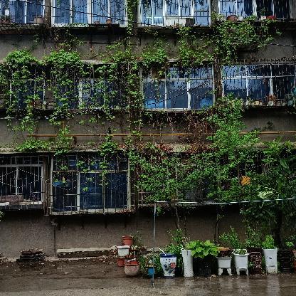 wuxinyang123's avatar