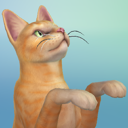 CatLadyChristine's avatar
