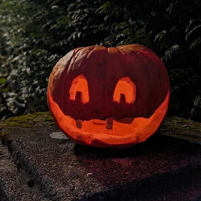 SchlAndinhoAG86's avatar