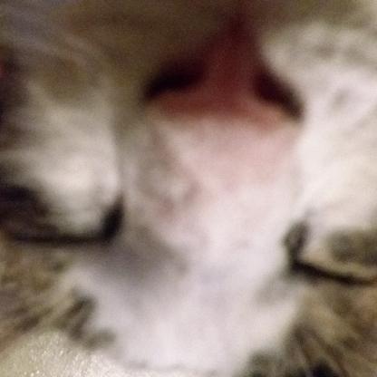 Mr_Smiely117's avatar