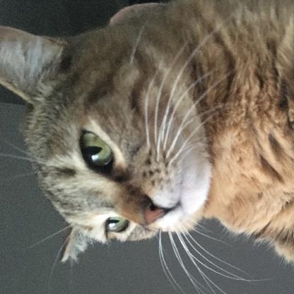 Tylera09's avatar