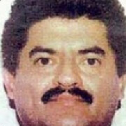 el_migrantoo's avatar