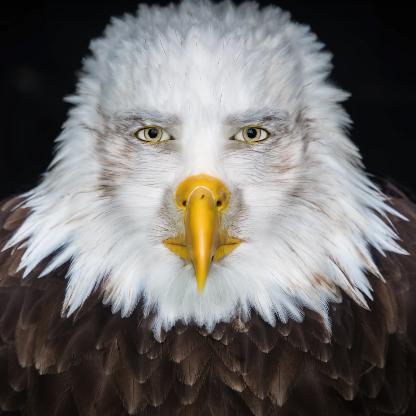 PubixxxCube's avatar